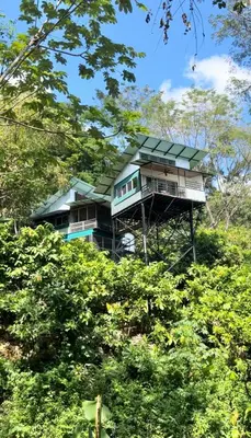 a large house on top of a hill with trees at The Emerald Haven in Parrita