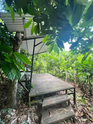a picnic table and bench under a tree at The Emerald Haven in Parrita