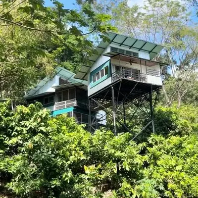 The Emerald Haven