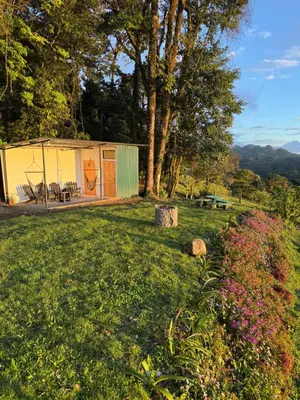 a shed in a field with flowers in the grass at Apricus Costa Rica in Monteverde Costa Rica