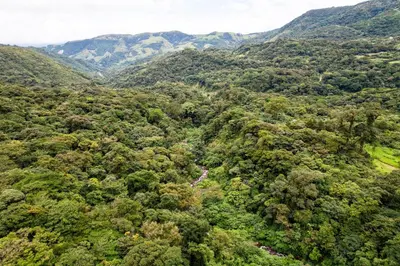 an aerial view of a forest with mountains in the background at Monteverde Wildlife Paradise - Nature Lovers in San Luis