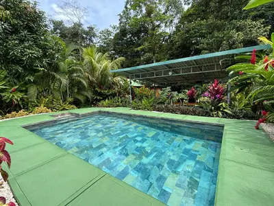 a swimming pool in the middle of a garden at Cabin in the wood in San Francisco