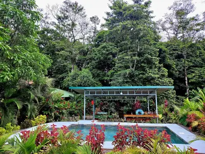 a swimming pool in a garden with a gazebo at Cabin in the wood in San Francisco