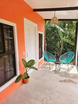 a patio with two chairs and a potted plant at Cara Coral, un oasis en la Selva in Tortuguero