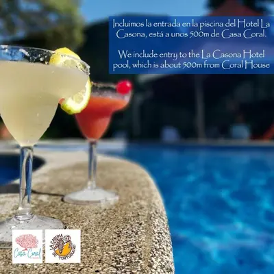 two cocktails sitting on a ledge next to a pool at Cara Coral, un oasis en la Selva in Tortuguero
