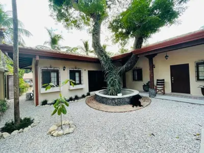 a black cat sitting in front of a house with a tree at Casa Caoba Playa Potrero in Playa Flamingo