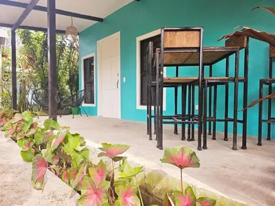 a room with a blue wall and a plant at Casa Selvamar, un oasis en la selva in Tortuguero
