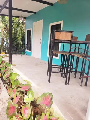 a patio with chairs and plants in a house at Casa Selvamar, un oasis en la selva in Tortuguero