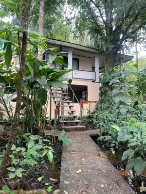 a house in the middle of a forest at Estudio Jaguar 2 o piso Casa Jaguar in Tortuguero