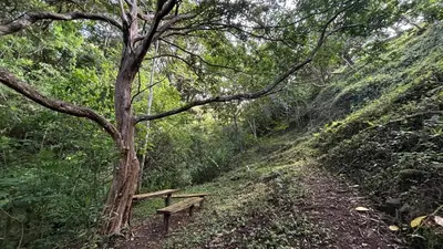 Gallery image of Casa BìBO in Monteverde Costa Rica