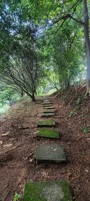 a stone path leading up a hill with trees at 2 BR Condo near San Jose, Costa Rica in Santa Cruz