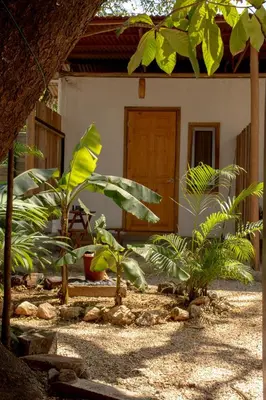 a courtyard with trees and a wooden door at Noni Garden in Tamarindo