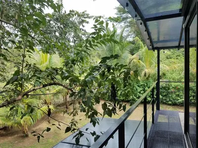 a balcony of a building with a tree at El Congo Apartmento in Nicoya