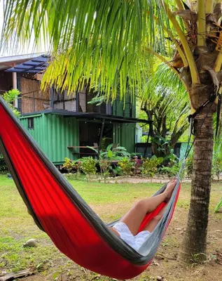 a person laying in a hammock under a palm tree at El Congo Apartmento in Nicoya