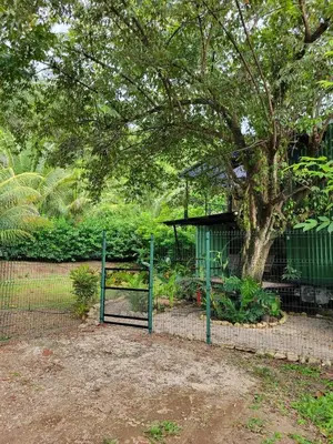 a fence with a bench next to a tree at El Congo Apartmento in Nicoya