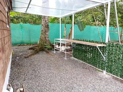 a pavilion with a tree and a bench at Cabaña Renaciendo in Turrialba
