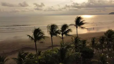 a view of a beach with palm trees and the ocean at Beachfront Balcony Sunset 2B in Jacó