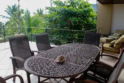 a small bird sitting on top of a table at Beachfront Terrace Sunset 3B in Jacó