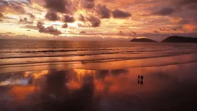 two dogs walking on the beach at sunset at Beachfront Terrace Sunset 3B in Jacó