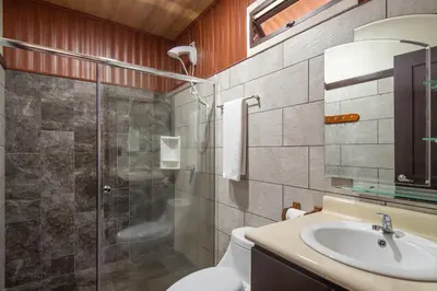 a bathroom with a shower and a toilet and a sink at Cabañas Acuarelas del Arenal in Fortuna