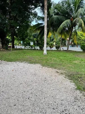 a gravel road with two palm trees in a park at Casa Mia playa Tambor in Tambor