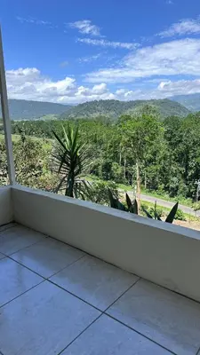 a balcony with a view of a palm tree at Quinta La Lomita in Turrialba
