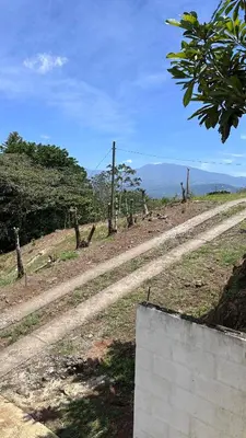 a dirt road in the middle of a field at Quinta La Lomita in Turrialba
