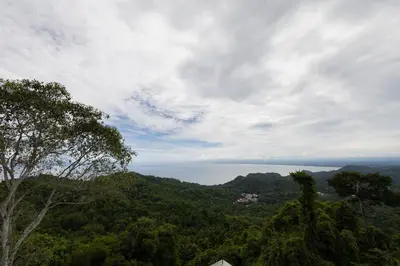 a view of the ocean from a hill with trees at Casa Grande Caletas in Jacó
