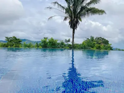 a palm tree and a swimming pool with a palm tree at Casa Nekori Wonderful Mountain view 15 minutes from Samara in Nicoya