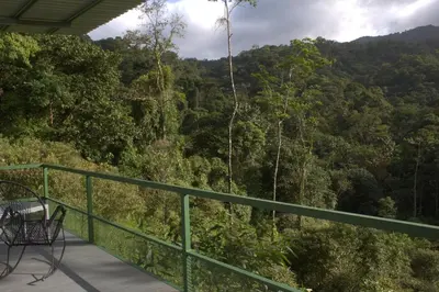 a balcony with a view of a forest at Village Río Celeste, Eco Lodge and Tours in Rio Celeste