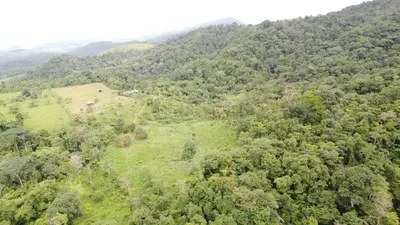 an aerial view of a forested hill with trees at Village Río Celeste, Eco Lodge and Tours in Rio Celeste