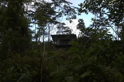 a tree house in the middle of the forest at Village Río Celeste, Eco Lodge and Tours in Rio Celeste