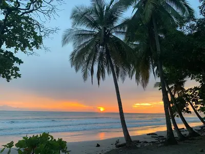 two palm trees on a beach with a sunset at Modern studio near Santa Teresa beach in Boca de Ario