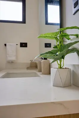 a plant sitting on a counter in a bathroom at Casa Cretaceous Modern villa 10 min walk to the beach in Sámara
