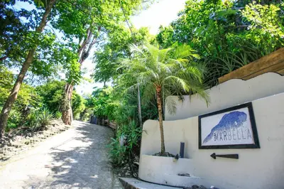 a palm tree next to a wall with a picture at Casa Marbella in Santa Teresa Beach