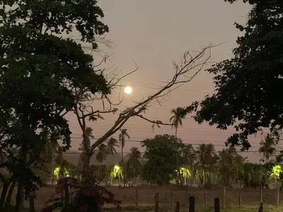 a moon in the sky over a field with trees at Oceana Breeze Perfect Getaway steps from the beach in Sámara