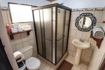 a bathroom with a shower and a toilet and a sink at Tico Airport B&B in Alajuela City