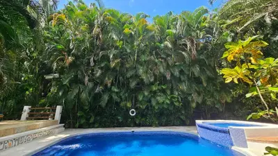 a wall of trees with a large blue swimming pool at Toro by Dreamcatcher in Santa Teresa Beach
