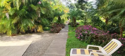 a park with a bench and flowers and palm trees at Villa Colibri at LakeGardens in Nuevo Arenal