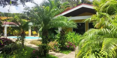 a house with a palm tree in front of a pool at Villa Colibri at LakeGardens in Nuevo Arenal