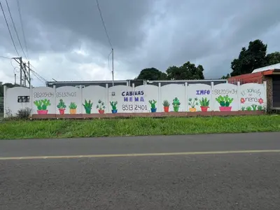 a wall with plants painted on it next to a road at Cabinas Nena in Esparza