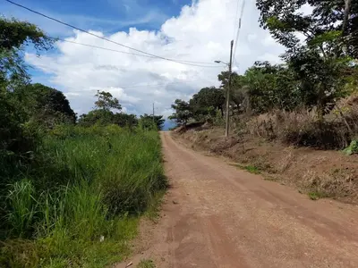 a dirt road with grass and trees on the side at Casa Rústica Rancho de Lía- Vacacional in Orotina