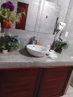 a bathroom counter with a sink and potted plants at Casa Lago in El Castillo de La Fortuna