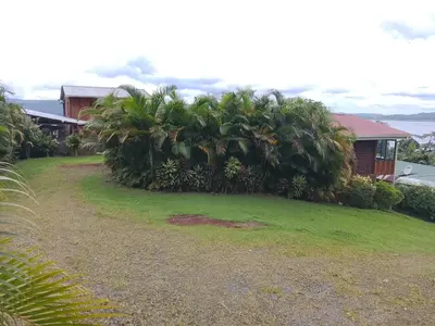 a yard with palm trees in front of a house at Casa Lago in El Castillo de La Fortuna