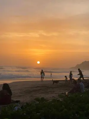 a group of people on the beach at sunset at Casa Aloha on Los Mangos Street in Nosara