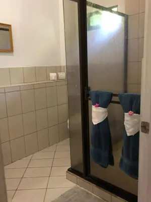 a bathroom with a glass door with two towels at Casa Aloha on Los Mangos Street in Nosara