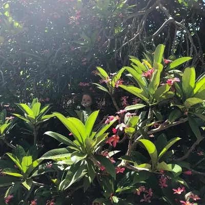 a woman standing in the middle of a forest with plants at Casa Plumeria-Aloha Surf Nosara in Nosara