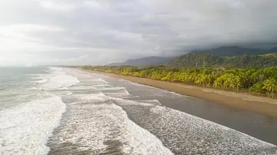 an empty beach with trees and the ocean at Villa del Río in Savegre