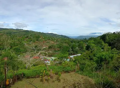 Gallery image of Home in the mountains in Tuis