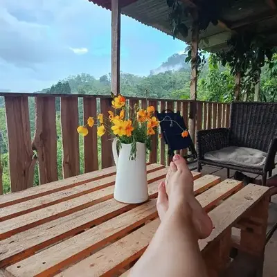 Home in the mountains